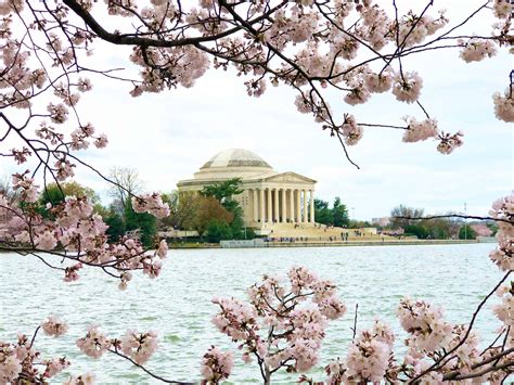 America’s First Daughter & Monticello Virtual Tour – Dixie Delights