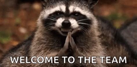 Image result for Speed Script Pastebin