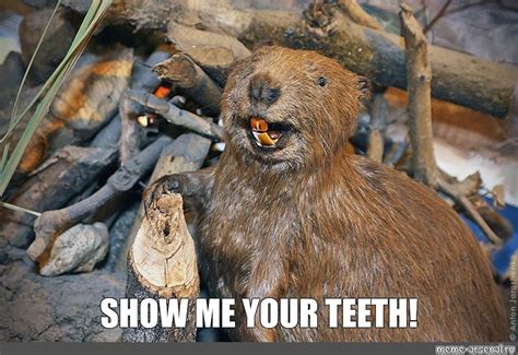 Image result for With Your Teeth Meme Compilation