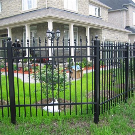 China Ornamental Black Powder Coated Galvanized Steel Wrought Iron ...