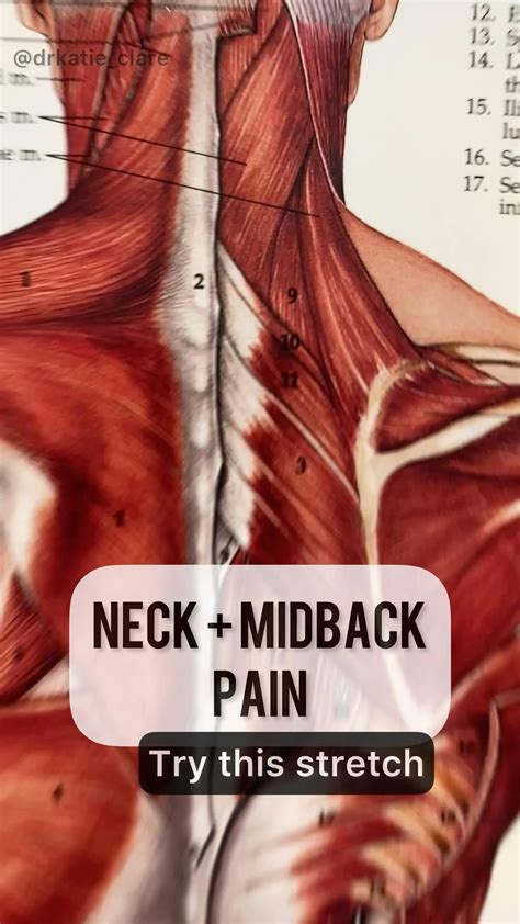 How to fix thoracic mid back pain relieve back pain – Artofit