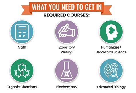 How To Get Into Baylor Medical School: Stats + Requirements