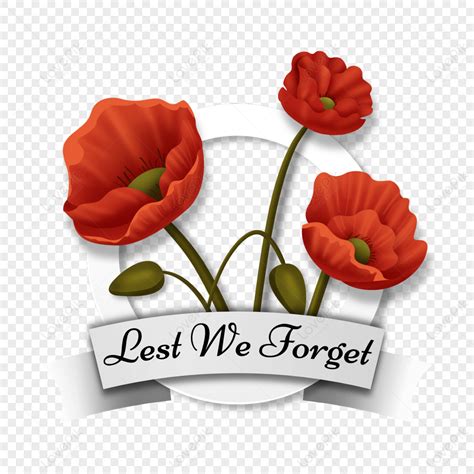 Remembrance Sunday Papaver Rhoeas Round Floral Border,national Memorial ...