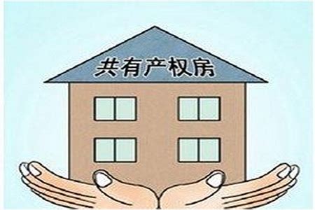 北京“共有产权住房”来了，国家队出手保刚需稳房价__财经头条