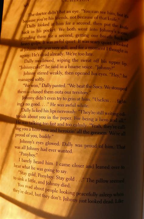 Stay Gold ponyboy💔 | The old man and the sea aesthetic, Old book with ...
