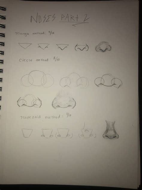 Image result for Nose Tutorial