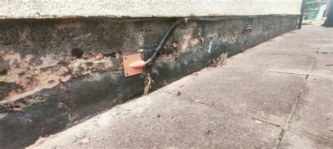 Image result for Damp Course Repair