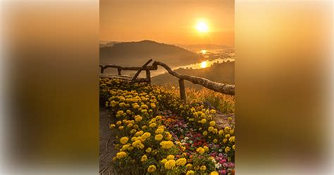 Blountsville Funeral Home Blountsville, Alabama (AL) | Who Passed On