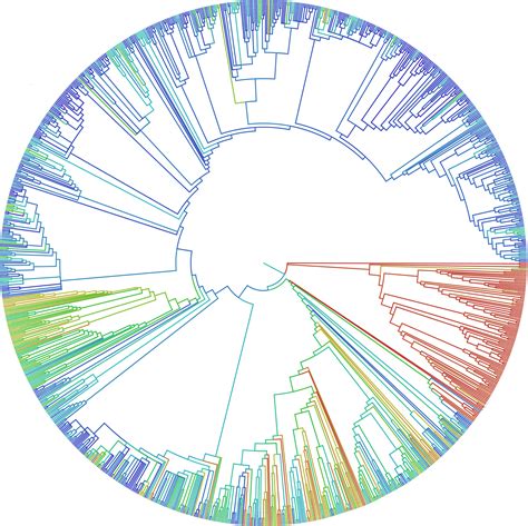 Image result for Life Evolution Tree