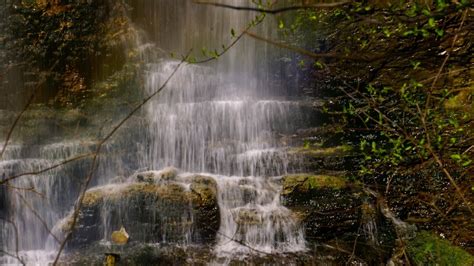 Image result for Springtime Country Waterfall