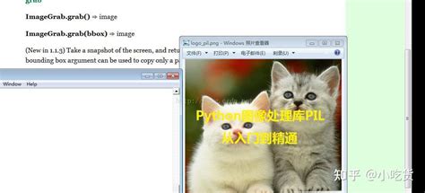 Image Grab Python 的图像结果