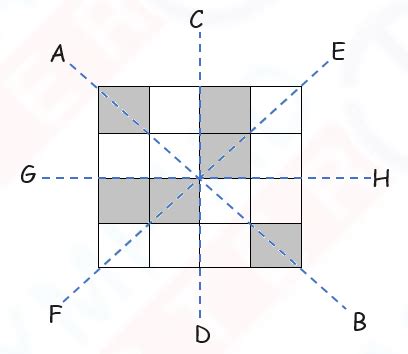 Image result for Symmetry Reflection and Pattern Chapter of Class 4