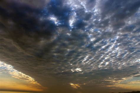 Morro Bay Dog Beach - emdot