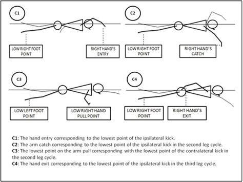 Swimming 的图像结果