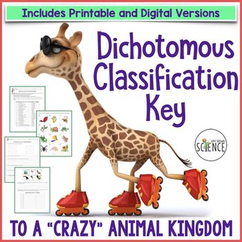 Classification Key for Kids 的图像结果