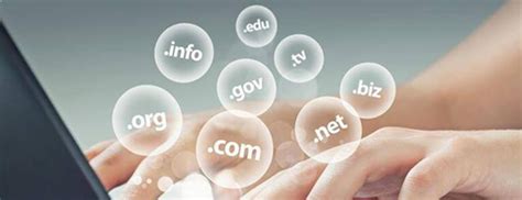 Bulk Domain Search By ZNetLive