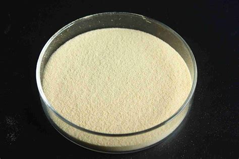 Hydrolyzed Soy Protein: Uses, Safety, and Side Effects - FP Group