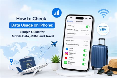 How to Check Data Usage on iPhone