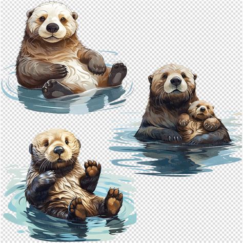 Sea otter PNG | Cute Sea Animal Clip art Under the sea Illus | Inspire ...