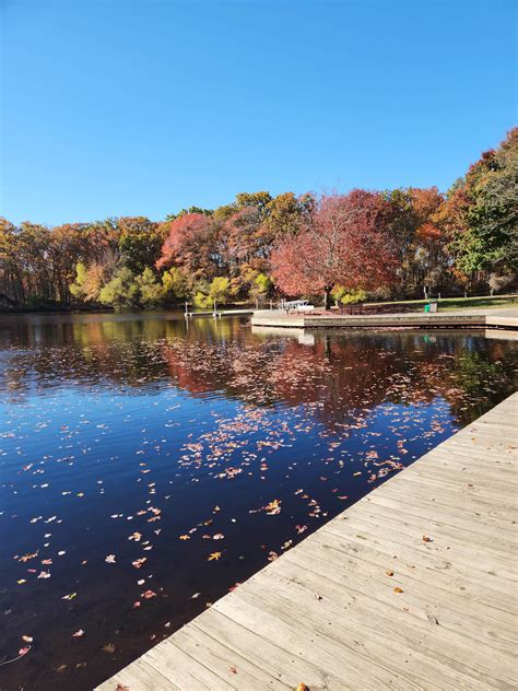 Are Dogs Allowed At Turkey Swamp Park