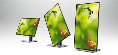 How to Choose a Monitor | Dell India