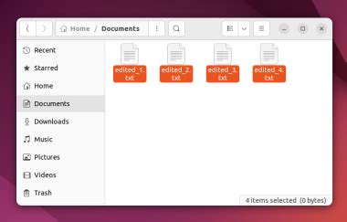 Image result for Rename Multiple Files Linux