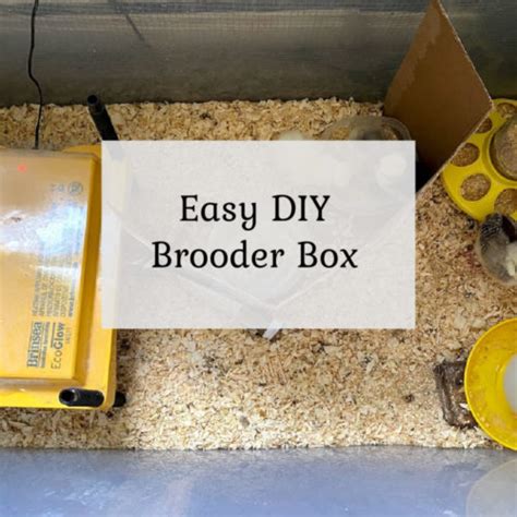 Image result for Hay Box Brooder