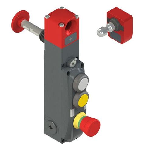 Pizzato NG 2D7D411C-F30E34LP50 NG series safety switch with lock and i ...