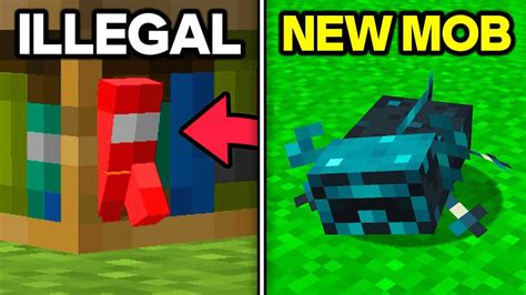 Image result for Cool Secret Items in Minecraft Java