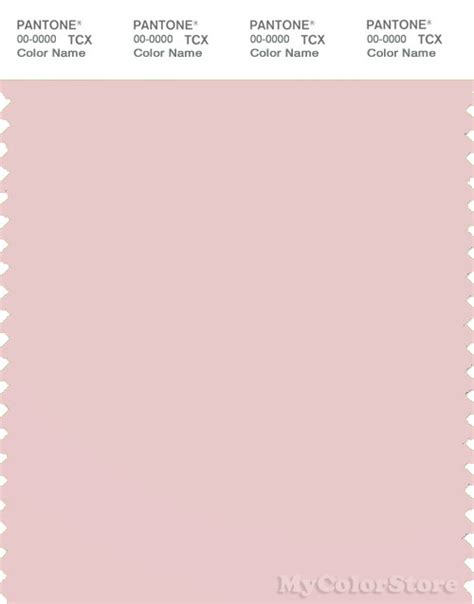 PANTONE SMART 13-2004 TCX Color Swatch Card | Pantone Pinkish Gray