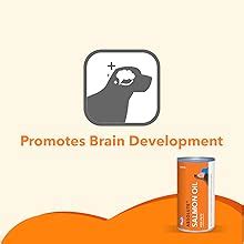 Buy Drools Absolute Dog Supplement Syrup, Salmon Flavor 300 ml Jar ...