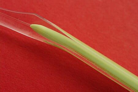 Image result for Injection Moulding