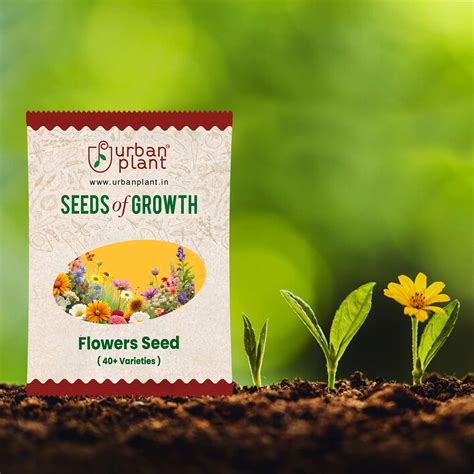 Buy Flower Seed Bank: 40+ Varieties, Affordable Prices Online