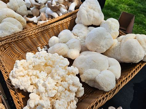 May 10 | Pearl River Farmers Market | Westwood, NJ Patch