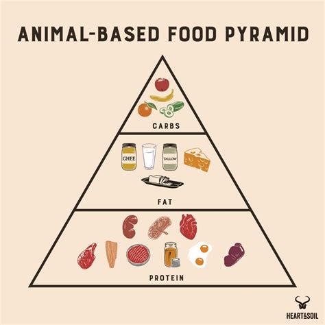What's the Difference Between Carnivore and Animal-Based? - Heart & Soil Supplements | Animals ...