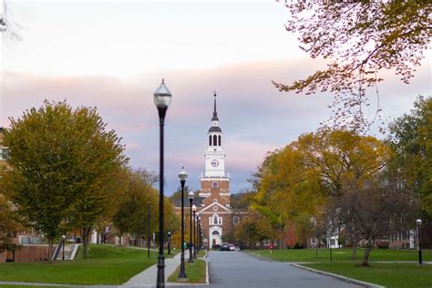 IB Program 的图像结果