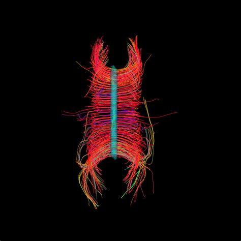 Image result for Path Length Feature Script Onahpw