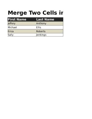 1 How To Combine Two Names In Excel Form | pdfFiller