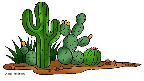 Cactus Clipart Pictures - Clipartix