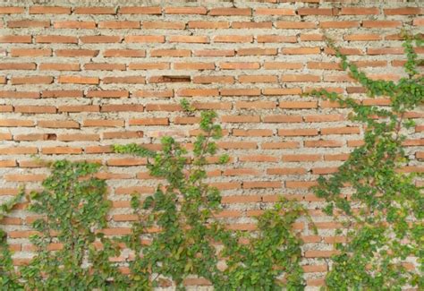 Buy Red Brick Wallpaper – From ₹99/sq ft