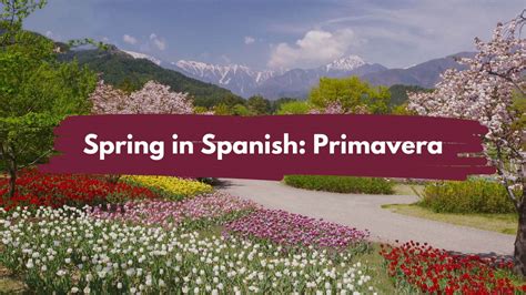 The Four Seasons In Spanish: Here's Everything You Need To Know