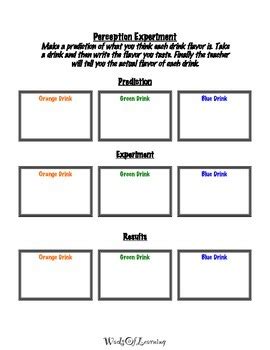 Image result for Objective Perception Experiment