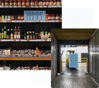 Image Analysis by Tracker Software 的图像结果