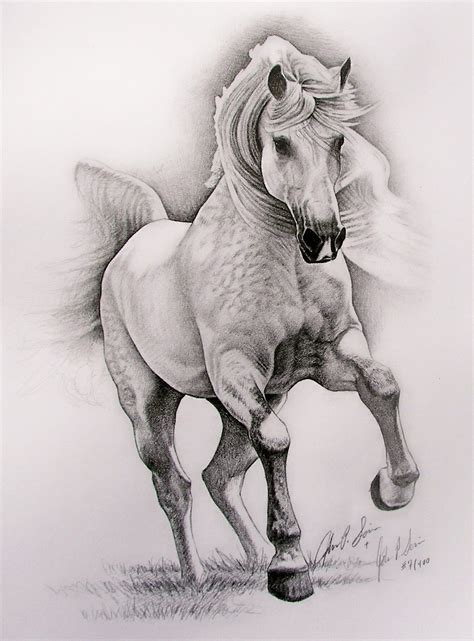 Dappled Horse Drawing by JohnnyDraws