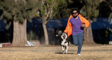 Best Dog Trainers in Noida