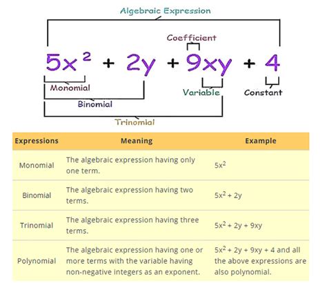 Algebraic Expressions and Identities Chapter Notes - Mathematics (Maths ...