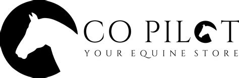 Co-Pilot Logo 的图像结果