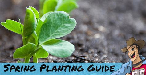 Image result for Spring Planting Program