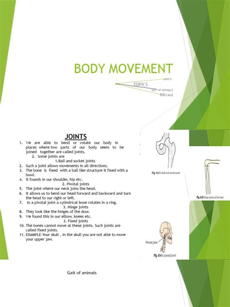 Image result for Flowchart of Body Movement