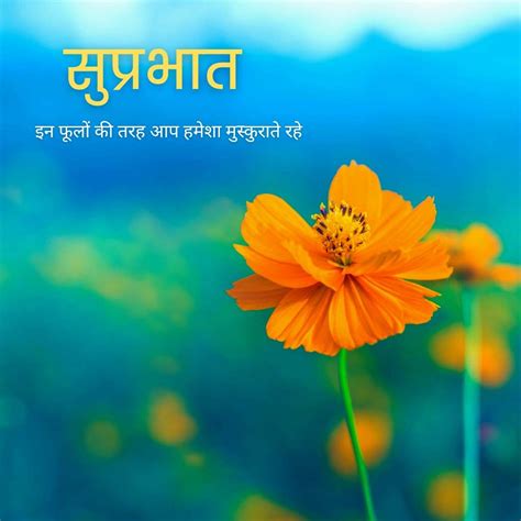 Full 4K Collection of Amazing Suprabhat Images in Hindi: Over 999+